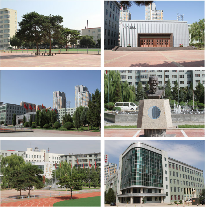 1490233754401787.jpg 1490233754401787.jpg