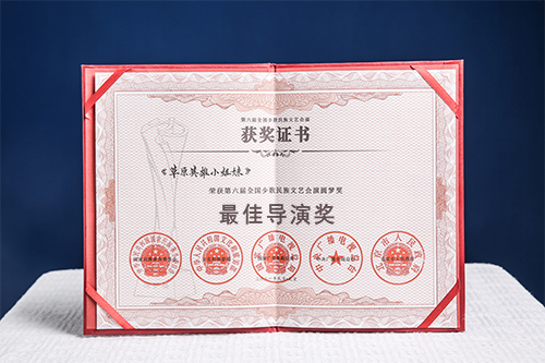 最佳導(dǎo)演獎(jiǎng).jpg 最佳導(dǎo)演獎(jiǎng).jpg